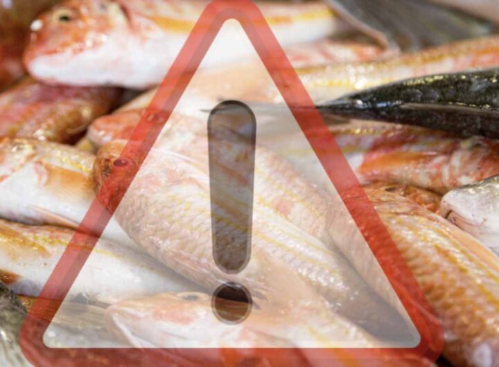 Recenti ricerche hanno rivelato un dato allarmante: il 99% dei campioni di pesce analizzati conteneva microplastiche.