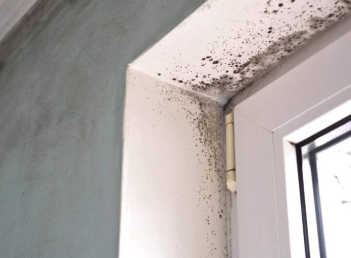 Problema umidità in casa