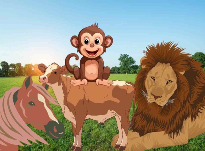 Test psicologico con animali