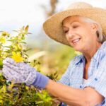 Piante perenni basse ottime per il giardino