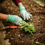 orto cosa piantare maggio