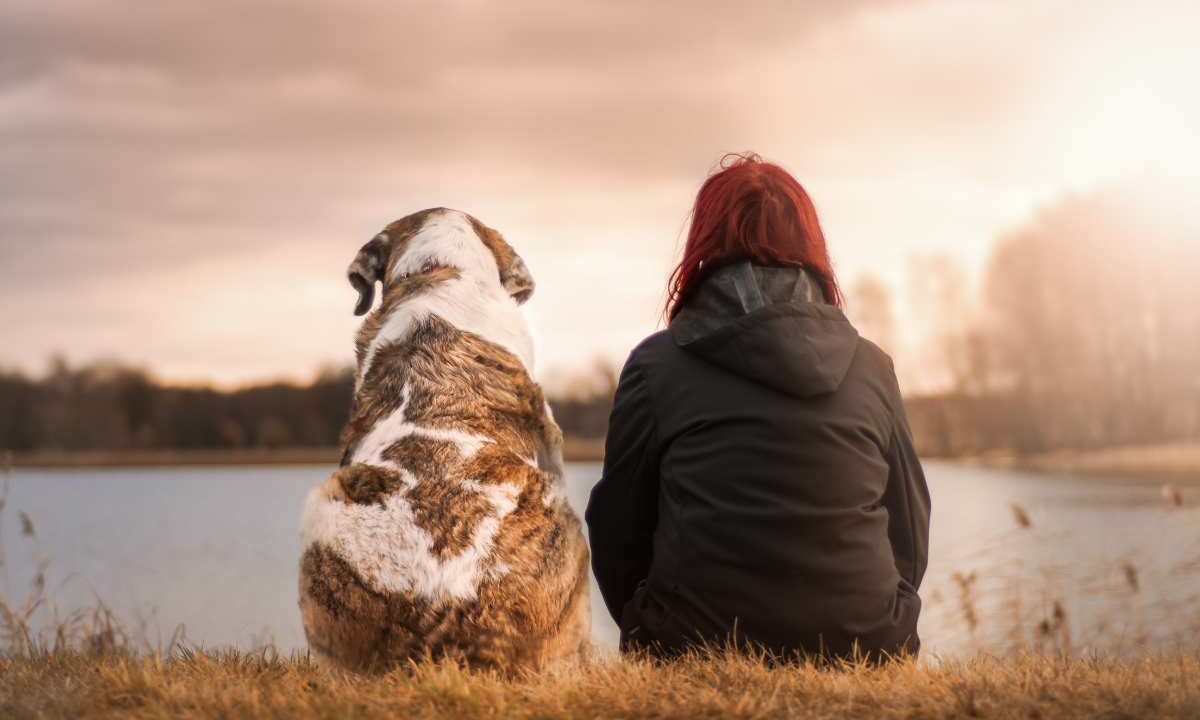 perché cane ti segue