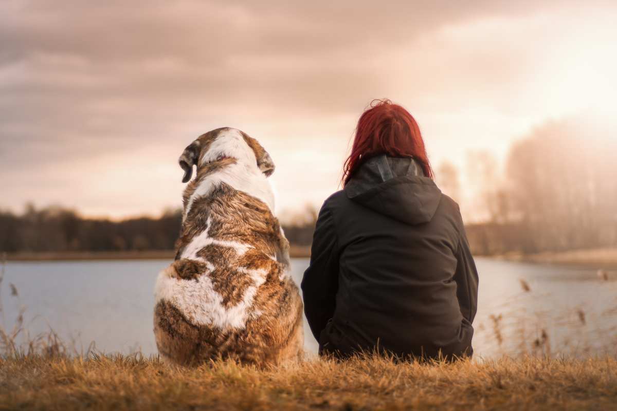 perché cane ti segue