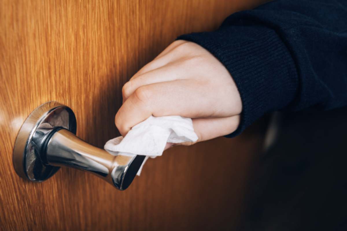 La prima operazione imprescindibile è la rimozione della polvere, effettuata con un piumino o un panno morbido, facendo attenzione
