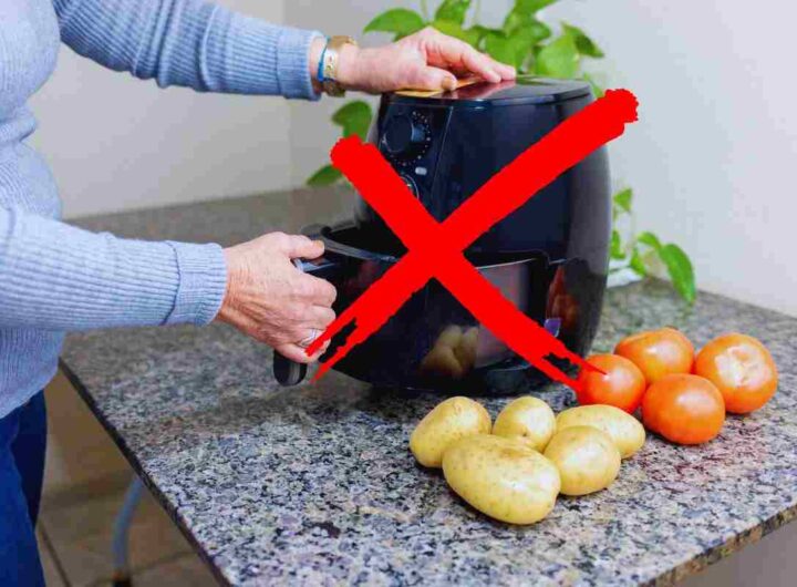 l'alternativa alla friggitrice ad aria