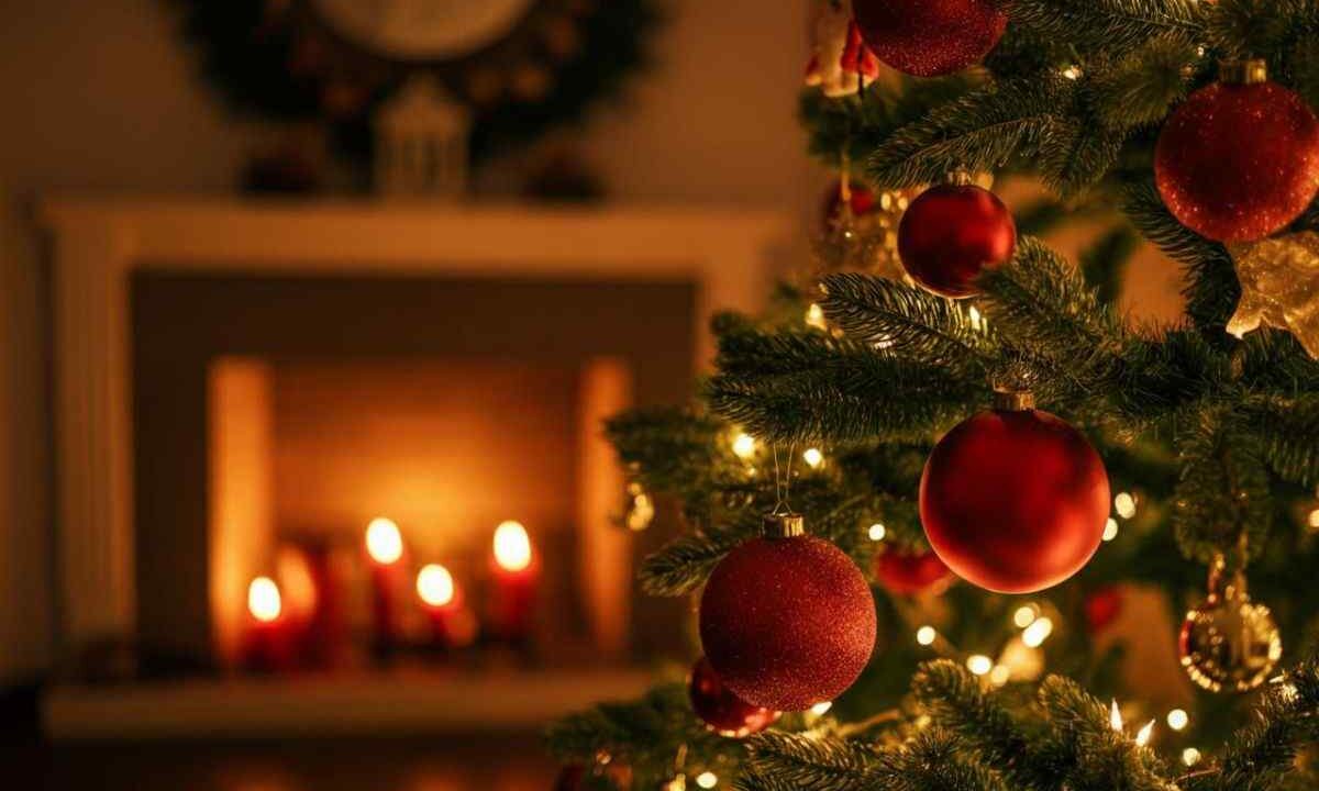 Albero di Natale bio