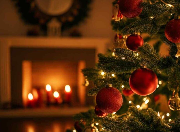 Albero di Natale bio