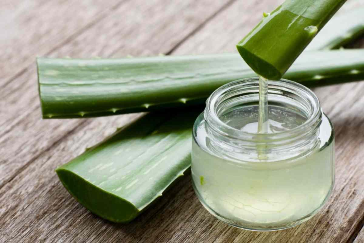 Aloe vera contro caduta capelli