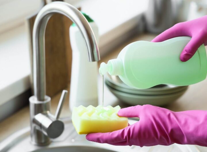 detersivo piatti usi casa