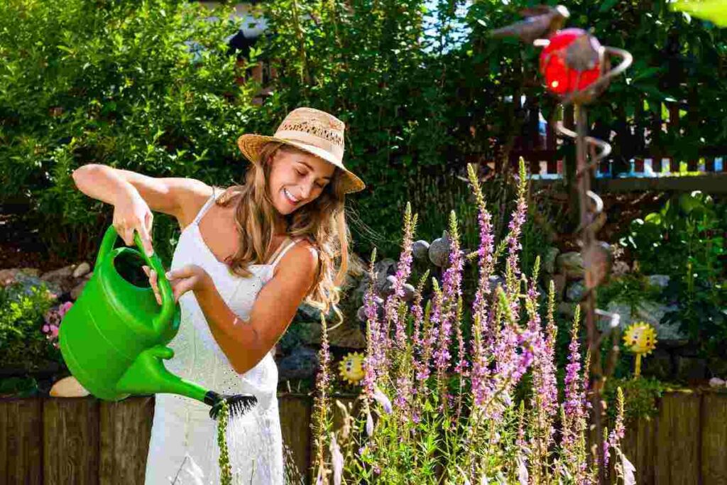 Cosa piantare nell'orto a dicembre