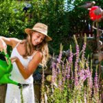 Cosa piantare nell'orto a dicembre