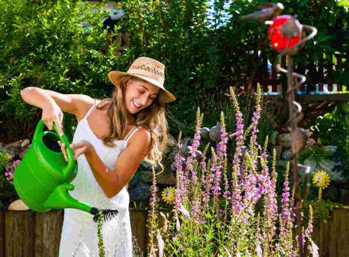 Cosa piantare nell'orto a dicembre