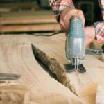 Talee invernali, anche col freddo puoi riprodurre le piante, i dettagli