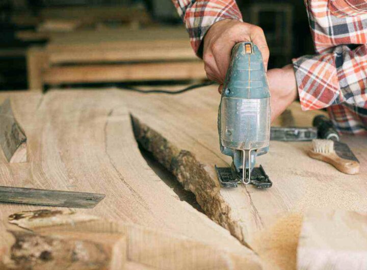 Talee invernali, anche col freddo puoi riprodurre le piante, i dettagli