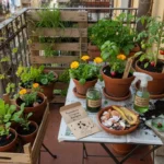 Agricoltura biologica: come iniziare un orto bio anche in balcone