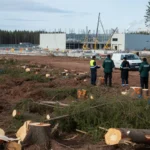 Google abbatte 250.000 alberi in Finlandia per il data center: la rabbia locale